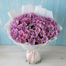 Букет цветов из:  Хризантемы в Пуршево