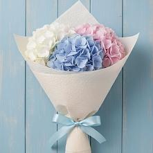 Букет цветов из:  Гортензия в Пуршево