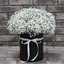Цветочная композиция из Гипсофила в шляпной коробке #REPLACE_PRED# Пуршево