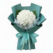 Букет цветов из:  Гортензия #REPLACE_PRED# Пуршево